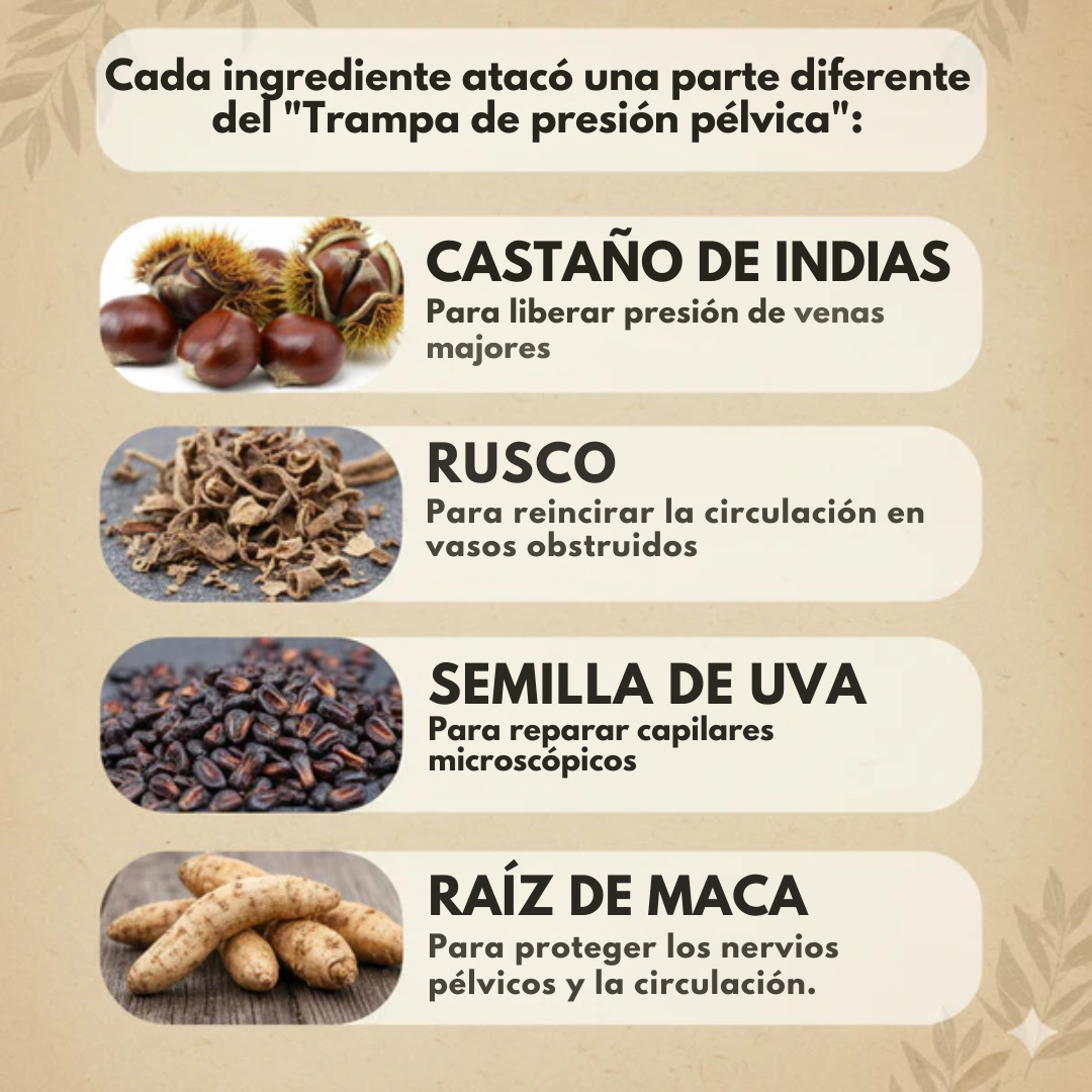 FlowRegen® – La fórmula natural que los hombres eligen para cuidar su próstata